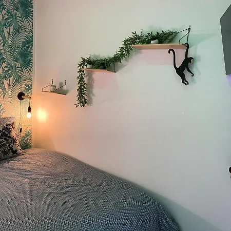 La Jungle Appartement Rouen